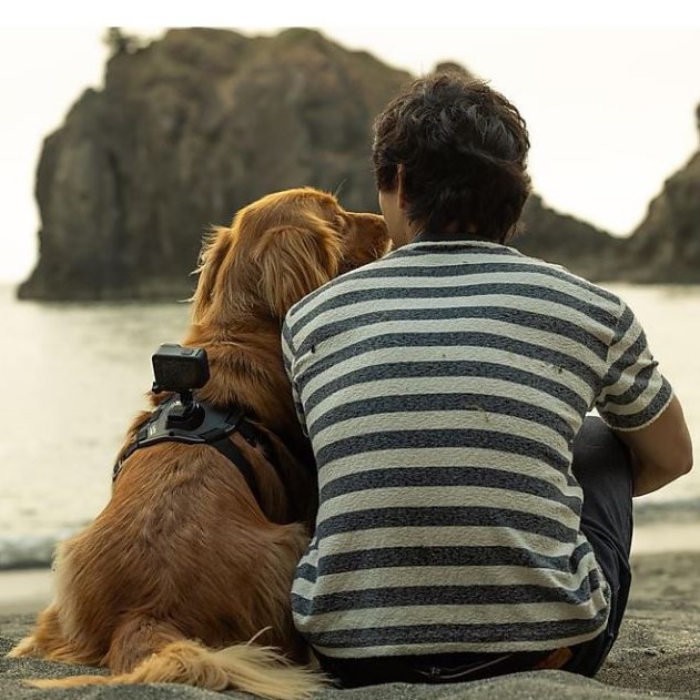 GOPRO HERO 12 Action Kamera auf Hunderücken geschnallt der neben seinem Herrchen am Strand sitzt