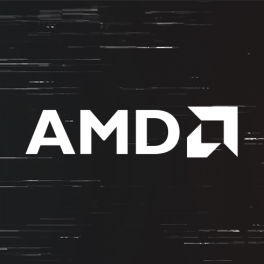 Product image of category AMD