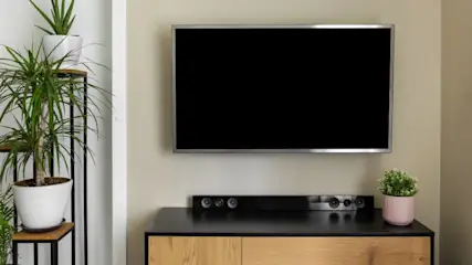 Ein Flachbildfernseher hängt über einer schwarzen Soundbar und einem Holzschrank. Pflanzen stehen auf einem Regal und dem Schrank.