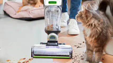 Ein Bissell-Staubsauger reinigt einen Boden mit Tierfutterresten, während eine Katze und ein Hund im Hintergrund zu sehen sind.