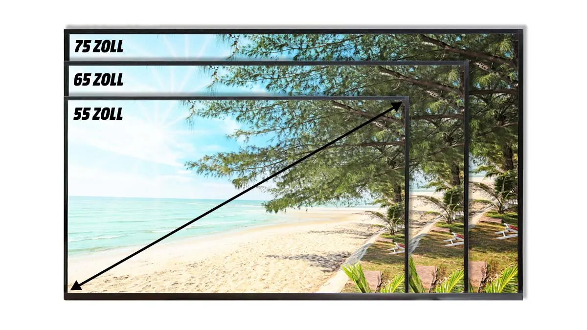 Grafische Darstellung der Fernseher-Größen 55, 65 und 75 Zoll.