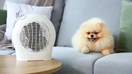 Ein weißer Heizlüfter steht auf einem Holztisch neben einem beigen Zwergspitz auf einem grauen Sofa mit Kissen.