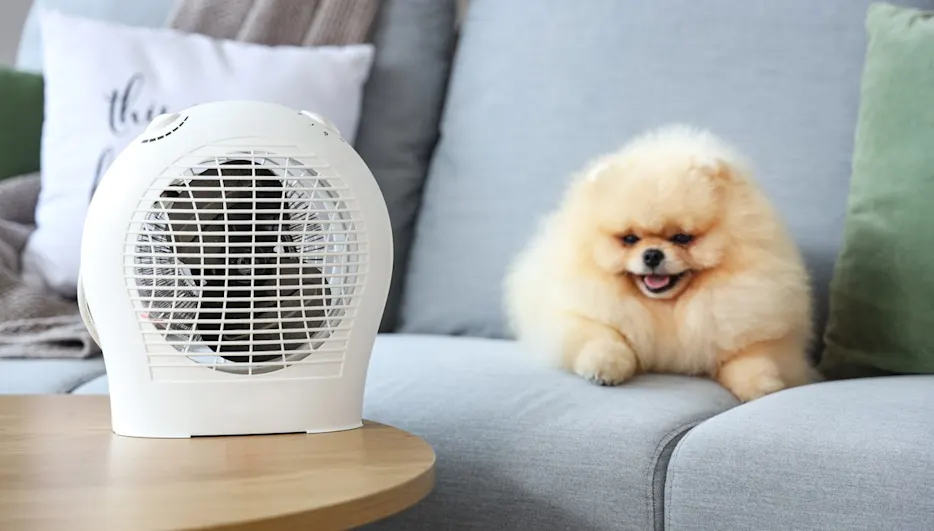 Ein weißer Heizlüfter steht auf einem Holztisch neben einem beigen Zwergspitz auf einem grauen Sofa mit Kissen.