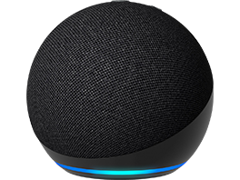 Smart Speaker