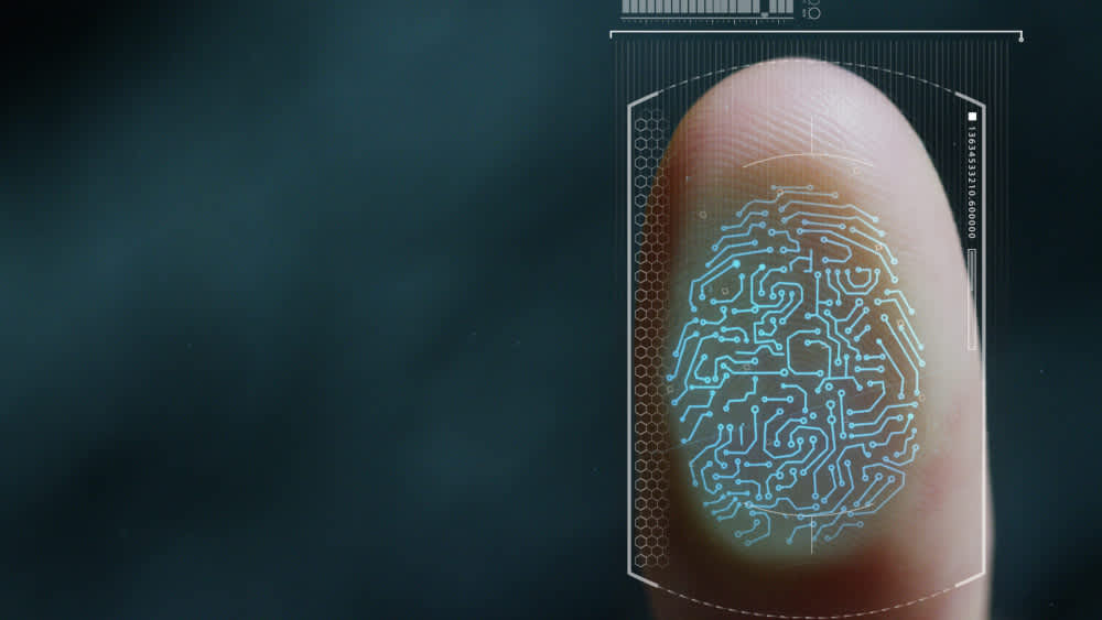 Ein biometrischer Fingerabdruck-Scan