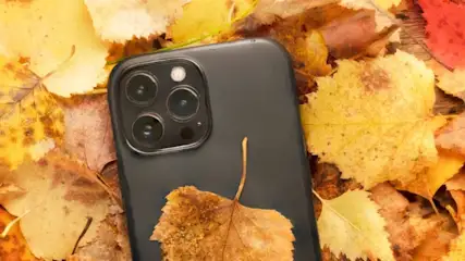 Ein schwarzes Smartphone mit drei Kameras liegt auf gelben und braunen Herbstlaub.