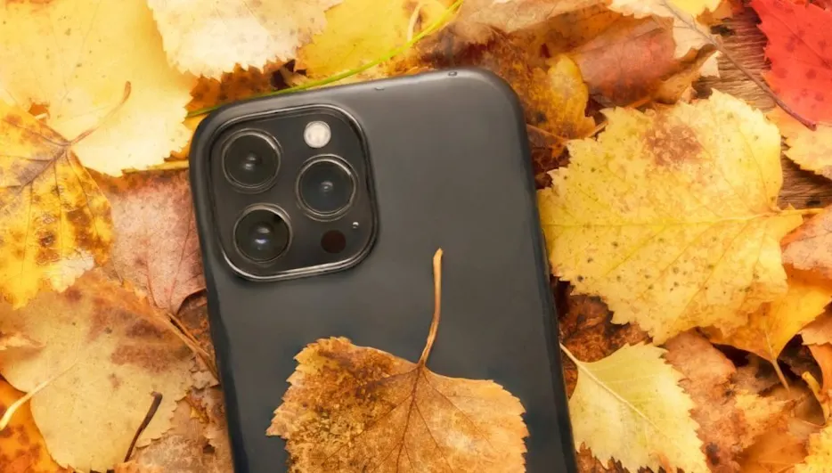 Ein schwarzes Smartphone mit drei Kameras liegt auf gelben und braunen Herbstlaub.