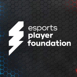 Product image of category esports player foundation