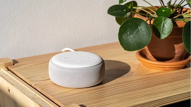 Ein weißer, runder Smart Speaker steht auf einem Holztisch, daneben eine Topfpflanze mit runden, grünen Blättern.