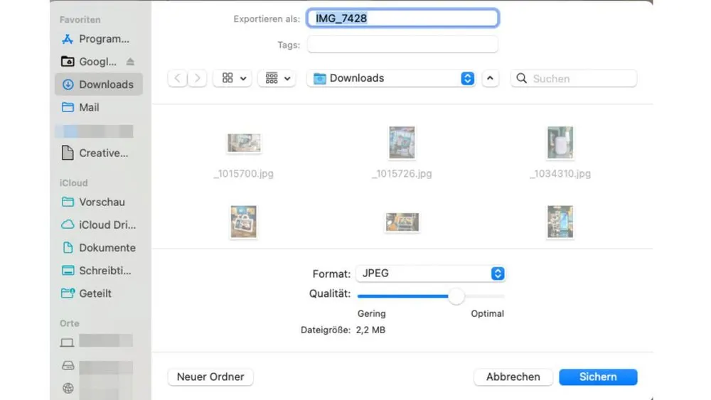 Ein Dateiexplorer-Fenster mit geöffnetem "Downloads"-Ordner. Optionen zur Dateibenennung und zum Dateiformat sind sichtbar.