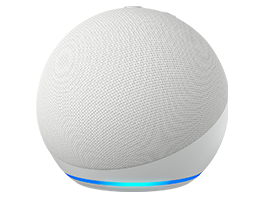 Smart Speaker