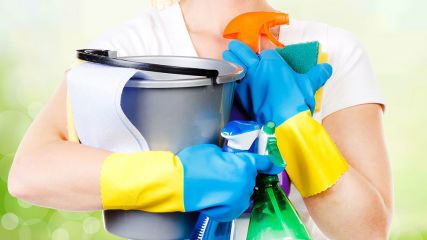 Hausfrau mit Reinigungsmitteln