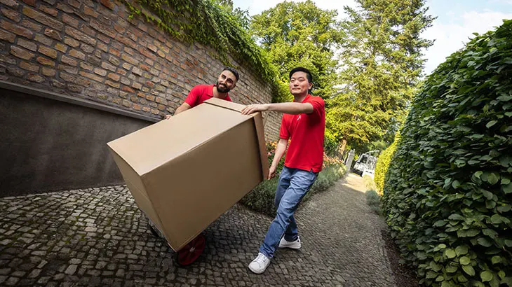 Zwei Personen in roten Hemden tragen eine große, braune Kiste auf einem gepflasterten Weg neben einer Mauer und üppigem Grün.