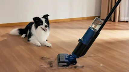 Ein schwarzer und weißer Hund liegt neben einem blauen Staubsauger auf einem Holzboden.
