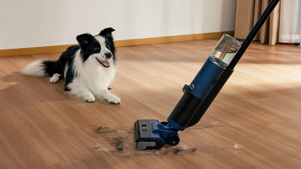 Ein Akku-Staubsauger saugt Tierhaare von einem Holzboden auf. Ein schwarz-weißer Hund liegt daneben.