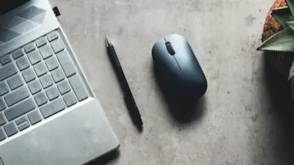 Laptop, mysz, długopis i roślina w doniczce na szarym tle.