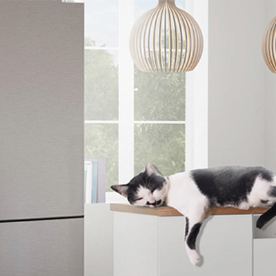 Śpiący czarno-biały kot leży na drewnianej półce przy oknie, nad nim wisi lampa z drewnianych listewek.