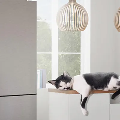 Śpiący czarno-biały kot leży na drewnianej półce przy oknie, nad nim wisi lampa z drewnianych listewek.