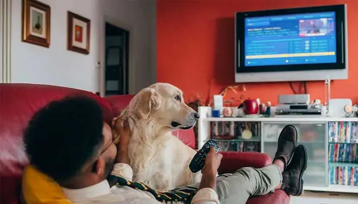 Mężczyzna leży na czerwonej sofie z psem, oglądając telewizję. Na ścianie wiszą obrazy, a pod telewizorem stoi biała szafka.