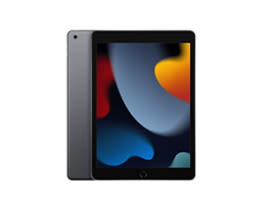 Product image of category iPad