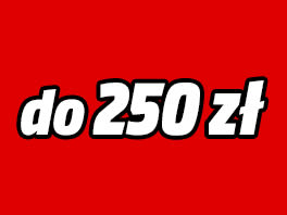 Prezenty do 250 zł