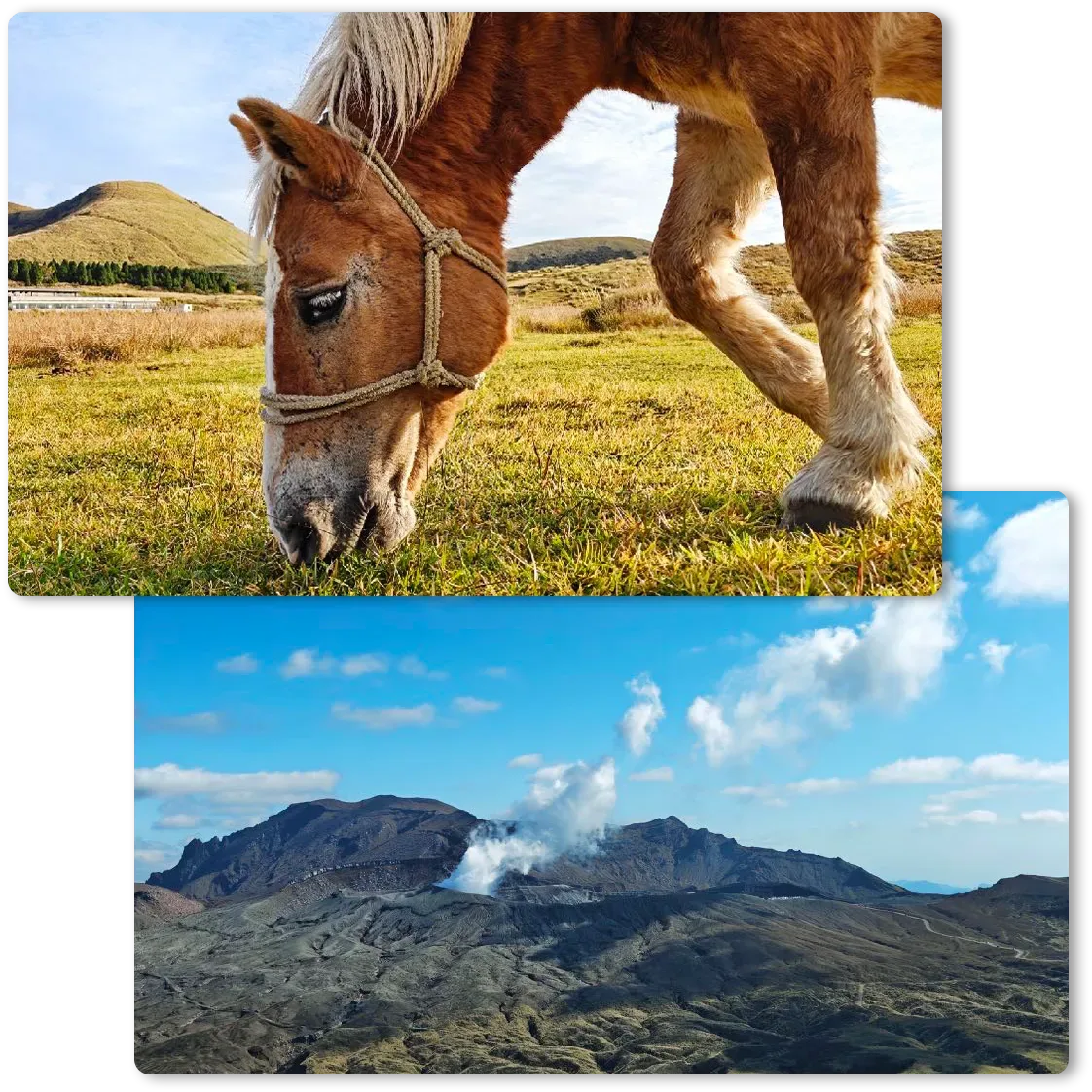 obraz z koniem oraz drugi pod spodem z górami