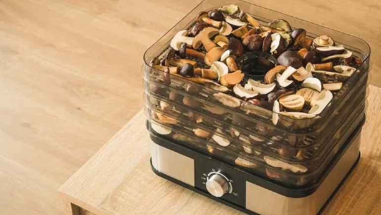 Modułowa suszarka pełna grzybów na drewnianym blacie.