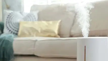 Na pierwszym planie biały nawilżacz powietrza, z którego wydobywa się para. W tle beżowa sofa z poduszkami i zielonym pledem.