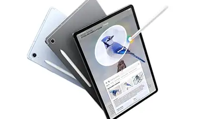 Dwa tablety i dwa rysiki na białym tle. Ekran tabletu pokazuje zdjęcie sójki błękitnej.