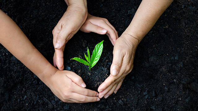 Dłonie otaczają zieloną sadzonkę na tle czarnej ziemi. Dłonie chronią małą roślinę, symbolizując opiekę nad naturą.