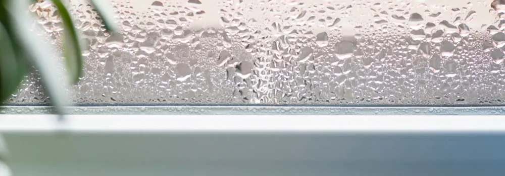 Okno pokryte kroplami wody, na parapecie widoczne zielone liście rośliny.