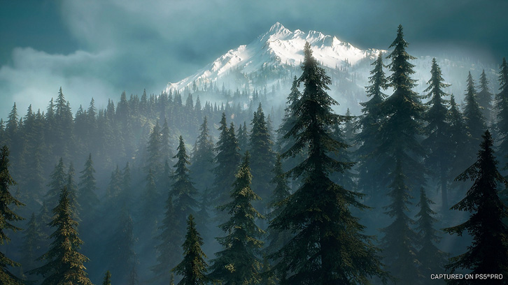 Pejzaż z lasem iglastym i ośnieżonym szczytem górskim w tle. Dominują odcienie zieleni, bieli i szarości, tworząc mglistą atmosferę.