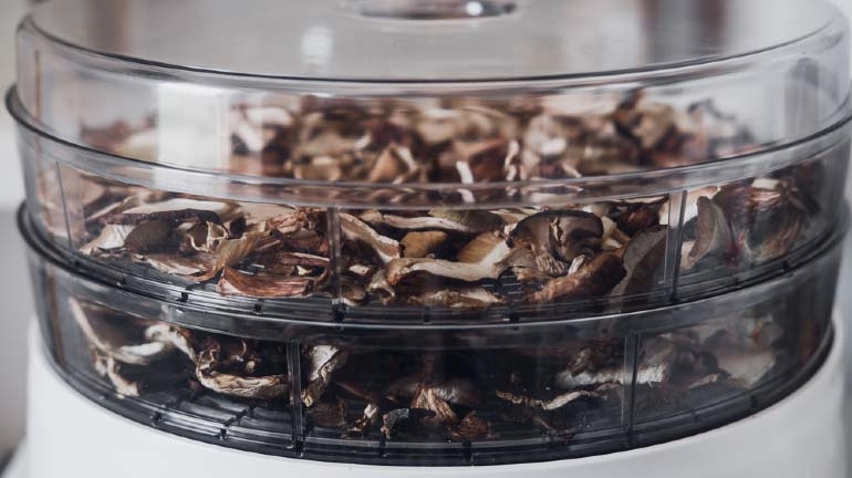 Grzyby ułożone ciasno w suszarce do suszenia.