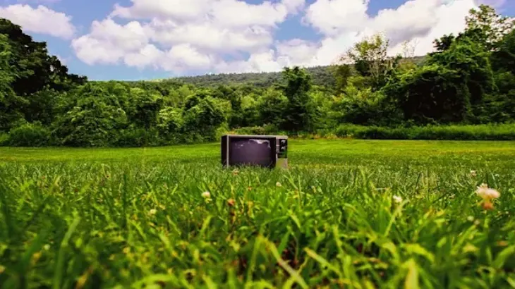 Na polu stoi telewizor, otoczony wysoką trawą. W tle widać zielony las i niebo z chmurami.