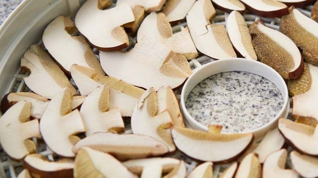 Grzyby przygotowane do suszenia w suszarce.