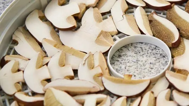 Grzyby przygotowane do suszenia w suszarce.