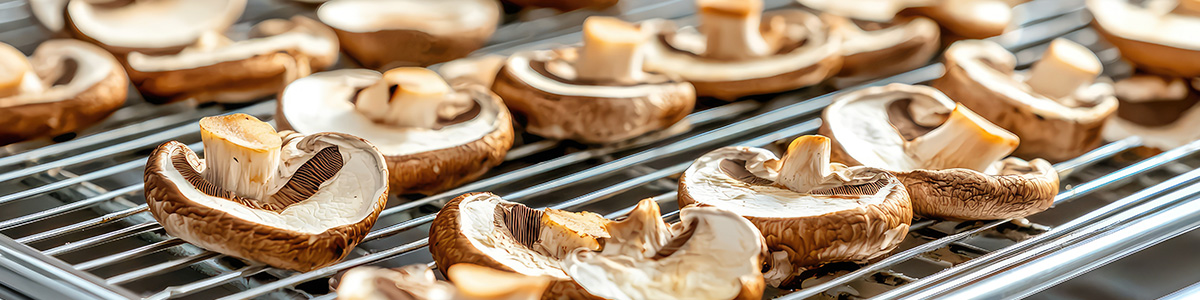 Suszone grzyby w suszarce. Plasterki grzybów mają brązowe kapelusze i krótkie łodygi.