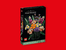 Product image of category Lego od 100 zł