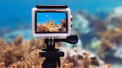 Kamera na statywie pokazuje rybę w rafie koralowej pod wodą. Koralowce są w odcieniach brązu, w tle błękit oceanu.