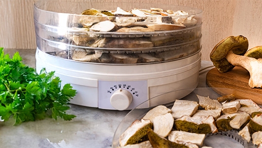 Wypełniona modułowa suszarka do grzybów bez przykrywki. Obok jeszcze więcej grzybów i ziół.