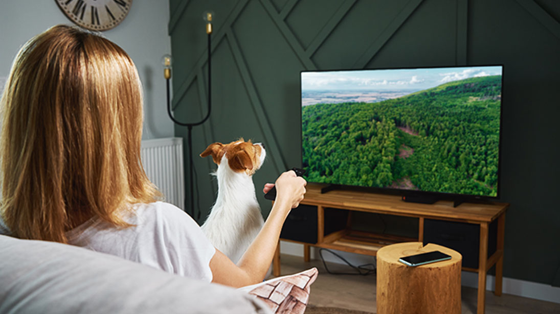 Kobieta z pieskiem na kanapie przed TV 50 cali w stylowym salonie z ciemnozieloną ścianą. 