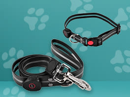 Smycze, obroże i szelki