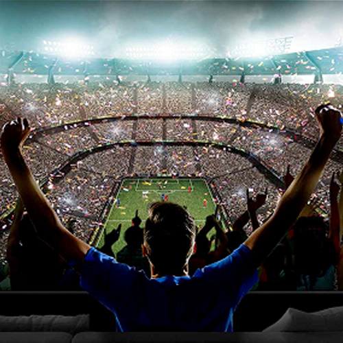 mężczyzna celebrujący bramkę w meczu na stadionie