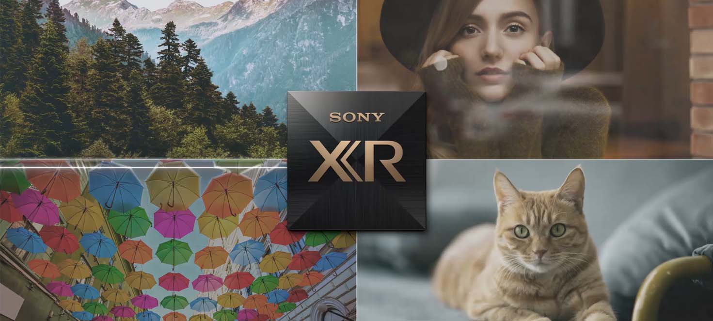 Gorski las, modelka patrząca w kamerę, kolorowe parasolki zawieszone nad ulicą i kot leżący na kanapie