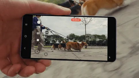 Zbliżenie dłoni trzymającej smartfon w poziomie; na ekranie nagrywane wideo — kilka corgi na smyczach podczas spaceru w parku, widać interfejs aparatu z czerwonym licznikiem nagrywania.
