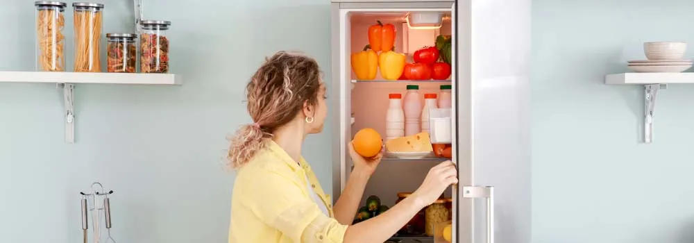 Lodówka do 1000 zł – ranking najlepszych produktów