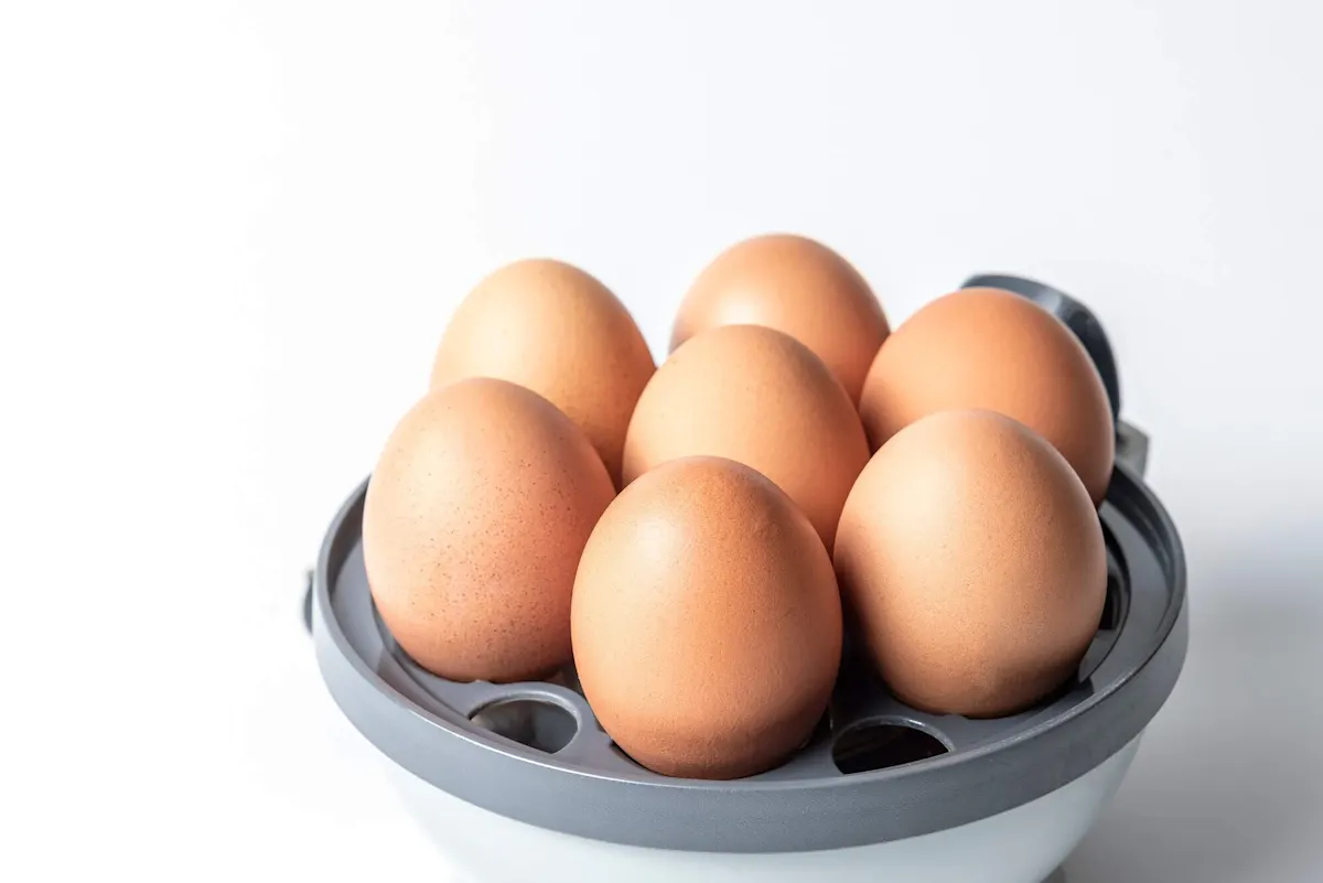 Sieben Eier sind kreisförmig in einem geöffneten Eierkocher angeordnet, mit einem Ei in der Mitte. 