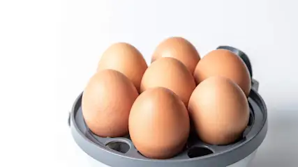 Sieben Eier sind kreisförmig in einem geöffneten Eierkocher angeordnet, mit einem Ei in der Mitte.