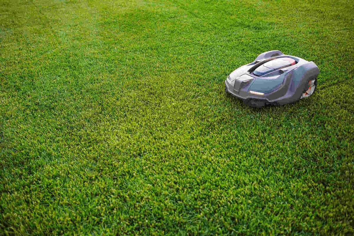 Robot tondeuse gris argent roulant sur une pelouse verte.  