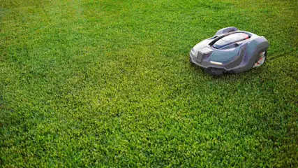Silbergrauer Mähroboter fährt über grünen Rasen.